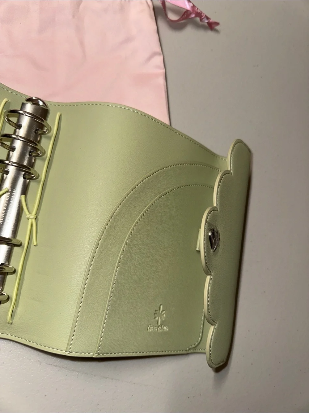 Aura Estelle planner folder + surprises